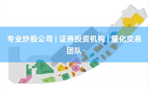 专业炒股公司 | 证券投资机构 | 量化交易团队